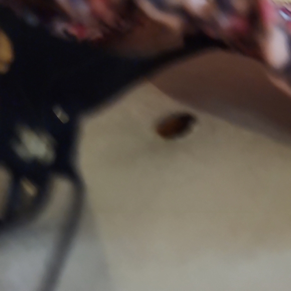 Maje Rilivate Floral Print Tiered Dress Size 36 - Picture 7 of 9